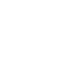 Vigilant Fury