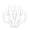 No One Spoils the Fun