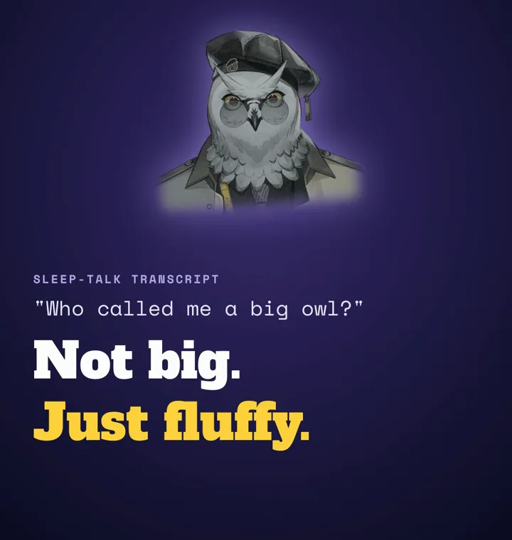 A sleep-talk transcript: "Who called me a big owl?" over the lines NOT BIG and JUST FLUFFY
