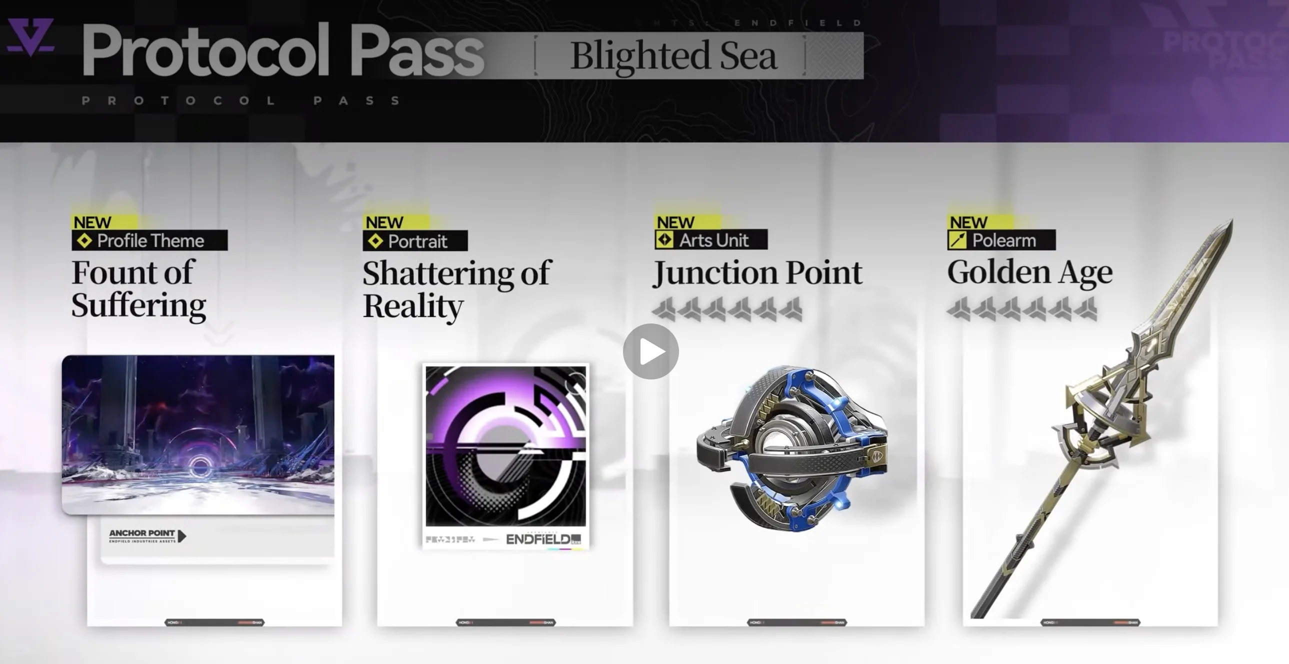 Profile theme showcase from the program