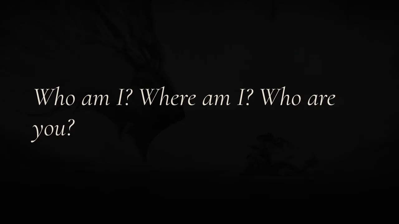 Who am I? Where am I? Who are you?