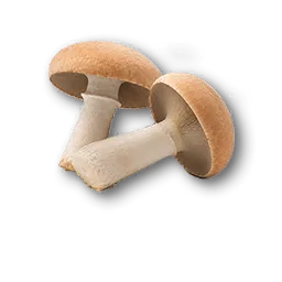Relishroom