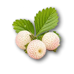 Sourberry