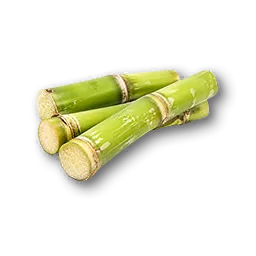 Crunchcane