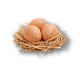 Egg