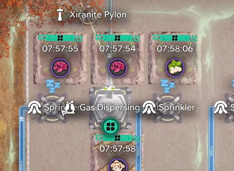 Close-up of refined plots around a Gas Dispersing Unit, each timer showing about 8 hours to harvest